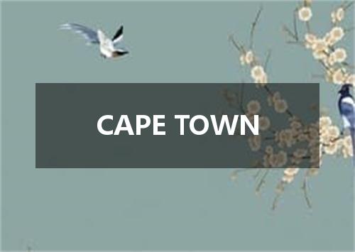 CAPE TOWN是什么意思