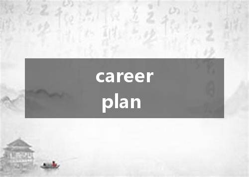 career plan是什么意思