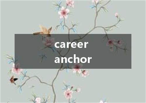 career anchor是什么意思