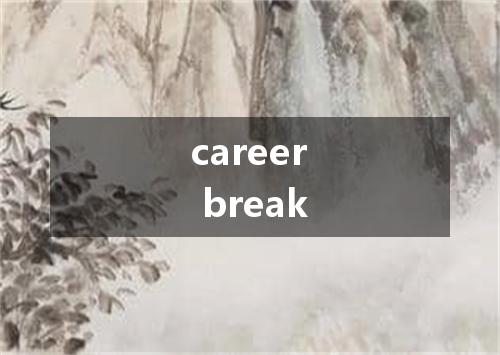 career break是什么意思