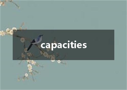 capacities是什么意思