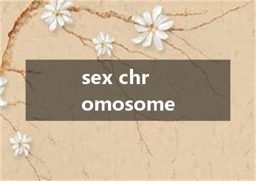sex chromosome是什么意思