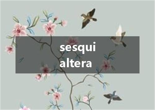sesquialtera是什么意思