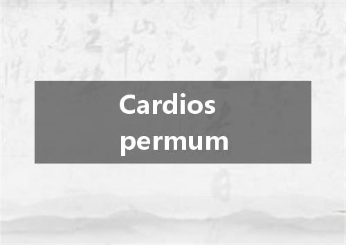 Cardiospermum是什么意思