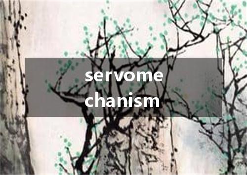 servomechanism是什么意思