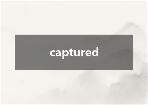 captured是什么意思