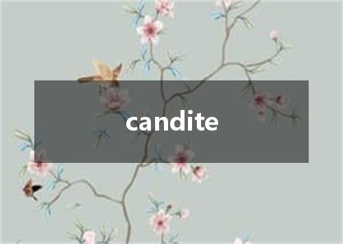 candite是什么意思
