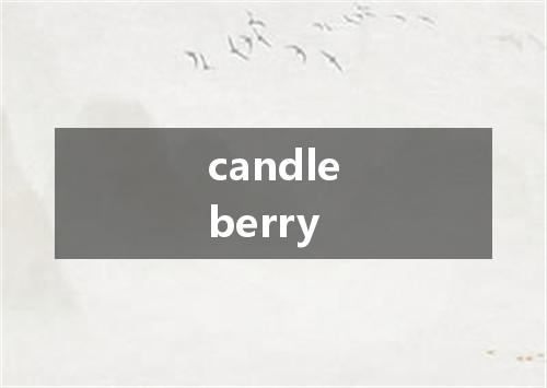 candleberry是什么意思