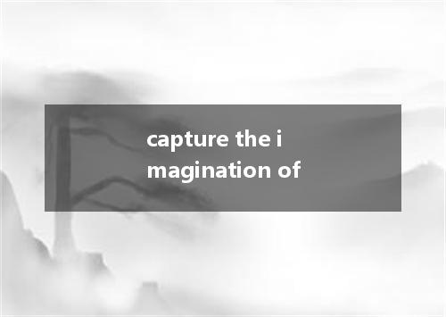 capture the imagination of是什么意思