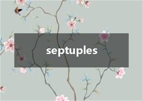 septuples是什么意思