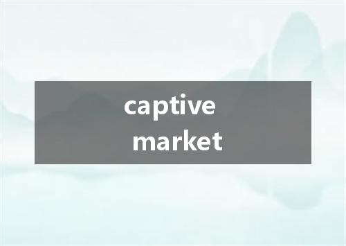 captive market是什么意思