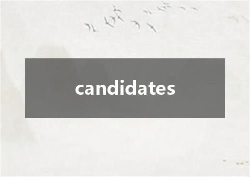 candidates是什么意思