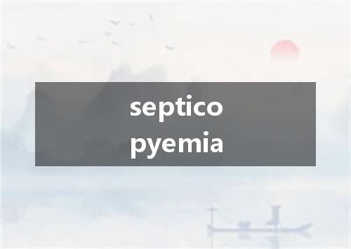 septicopyemia是什么意思