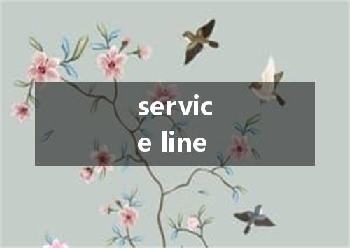 service line是什么意思