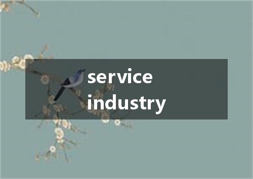 service industry是什么意思