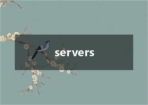 servers是什么意思