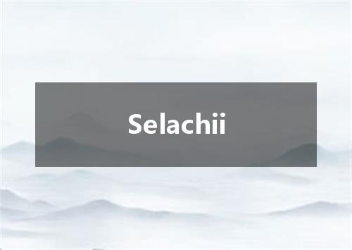 Selachii是什么意思