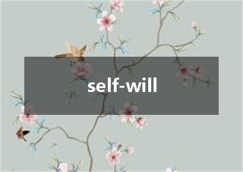 self-will是什么意思
