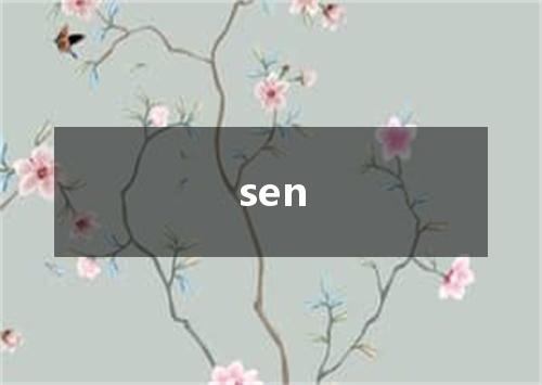 sen是什么意思