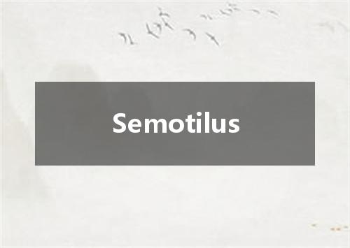 Semotilus是什么意思