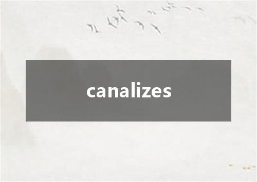 canalizes是什么意思