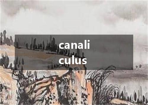 canaliculus是什么意思