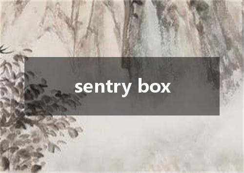 sentry box是什么意思