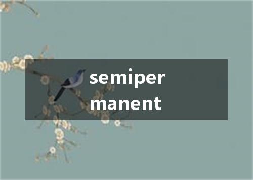 semipermanent是什么意思