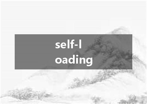 self-loading是什么意思