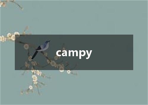 campy是什么意思