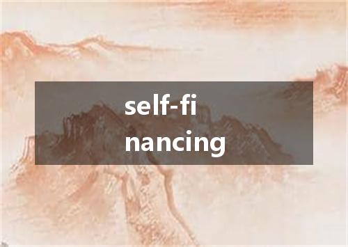 self-financing是什么意思