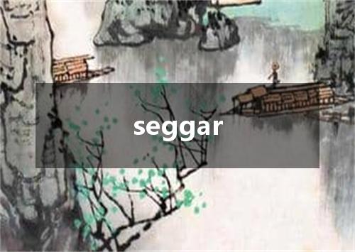 seggar是什么意思