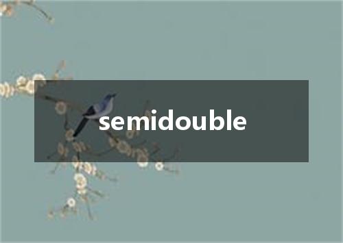 semidouble是什么意思