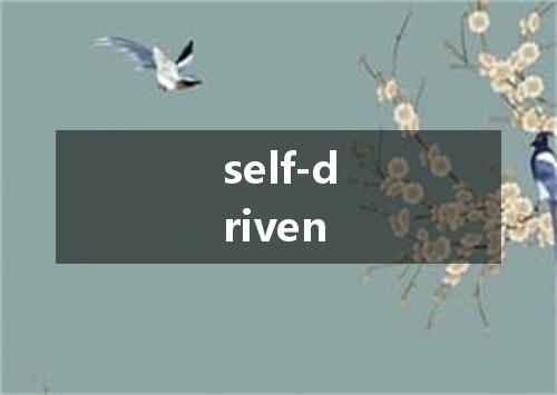 self-driven是什么意思