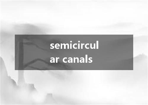 semicircular canals是什么意思