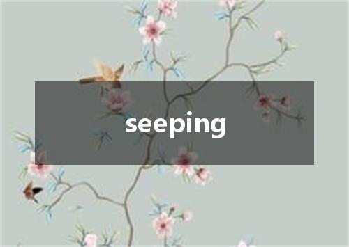 seeping是什么意思