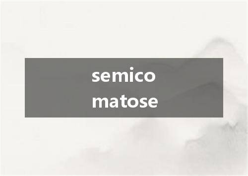 semicomatose是什么意思