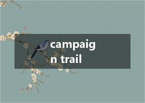 campaign trail是什么意思