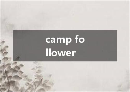 camp follower是什么意思