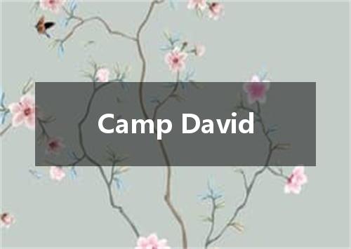 Camp David是什么意思