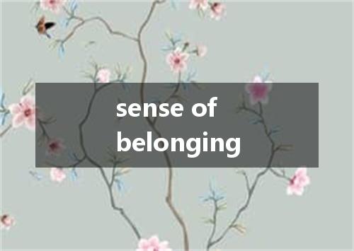 sense of belonging是什么意思