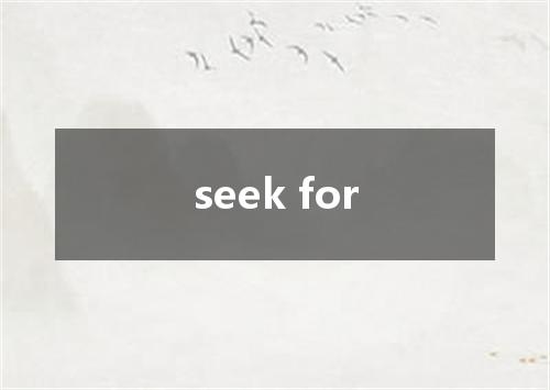 seek for是什么意思