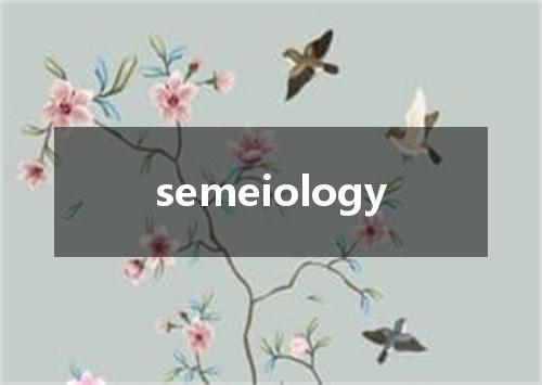 semeiology是什么意思