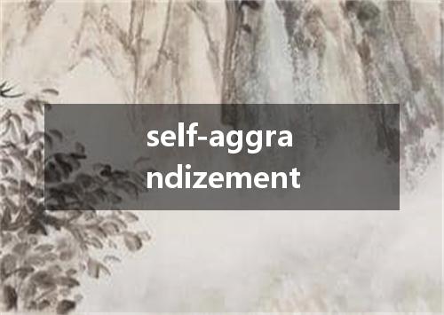self-aggrandizement是什么意思