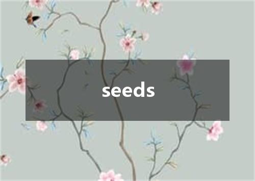 seeds是什么意思