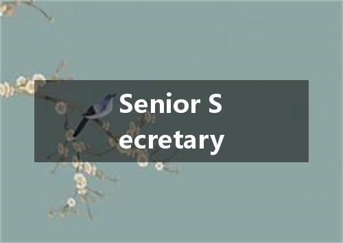 Senior Secretary是什么意思