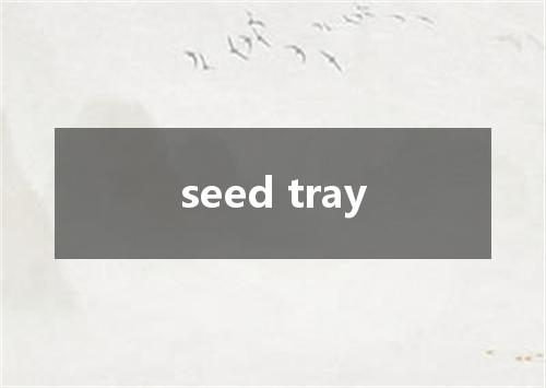 seed tray是什么意思