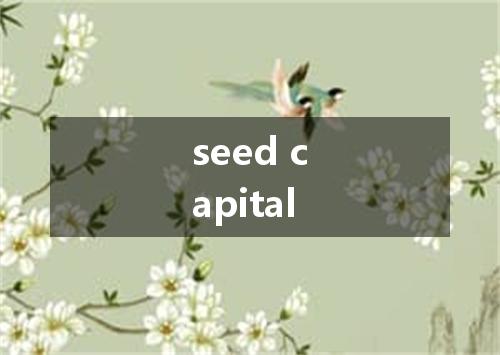 seed capital是什么意思