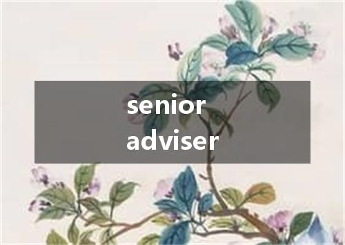 senior adviser是什么意思