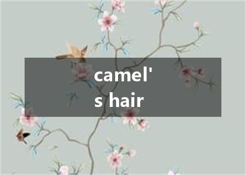 camel's hair是什么意思